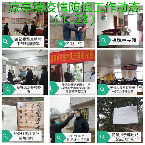 涼亭鎮(zhèn)疫情防控 一張拼圖，一方平安——記涼亭鎮(zhèn)疫情防控工作動(dòng)態(tài)網(wǎng)頁(yè)設(shè)計(jì)